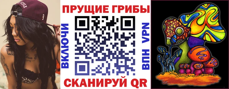 Псилоцибиновые грибы Psilocybine cubensis Среднеколымск